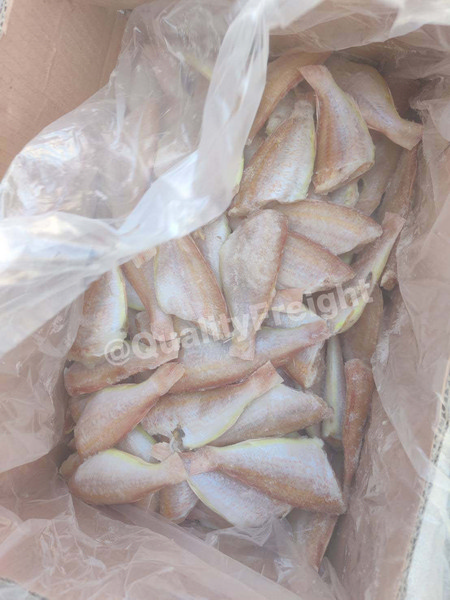 ขนส่งปลานำเข้าจากปากีสถาน 1 - Quality Freight International ขนส่งปลานำเข้าจากปากีสถาน