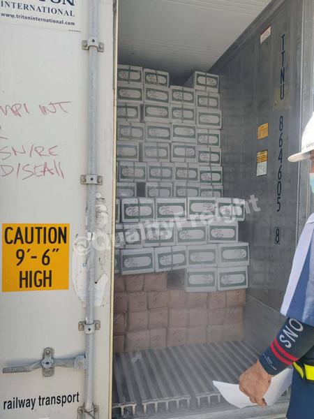 ขนส่งปลานำเข้าจากปากีสถาน 00010 - Quality Access Global Logistics Co., Ltd.