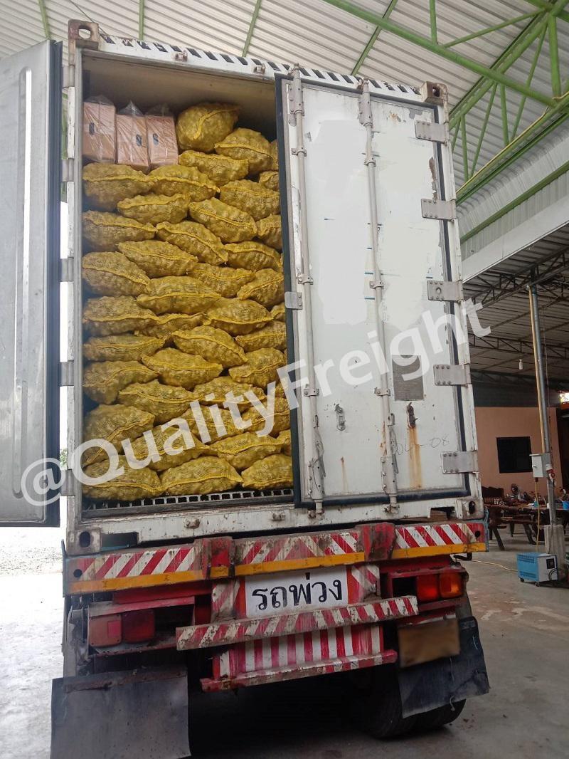 ส่งออกขิงสดไปบังกลาเทศ 2 - Quality Freight International HUY - Quality Access Global Logistics Co., Ltd.