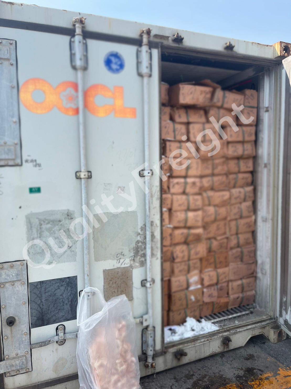 นำเข้าปลาทรายแดง จากปากีสถาน 2 - Quality Freight International 1 4 - Quality Access Global Logistics Co., Ltd.