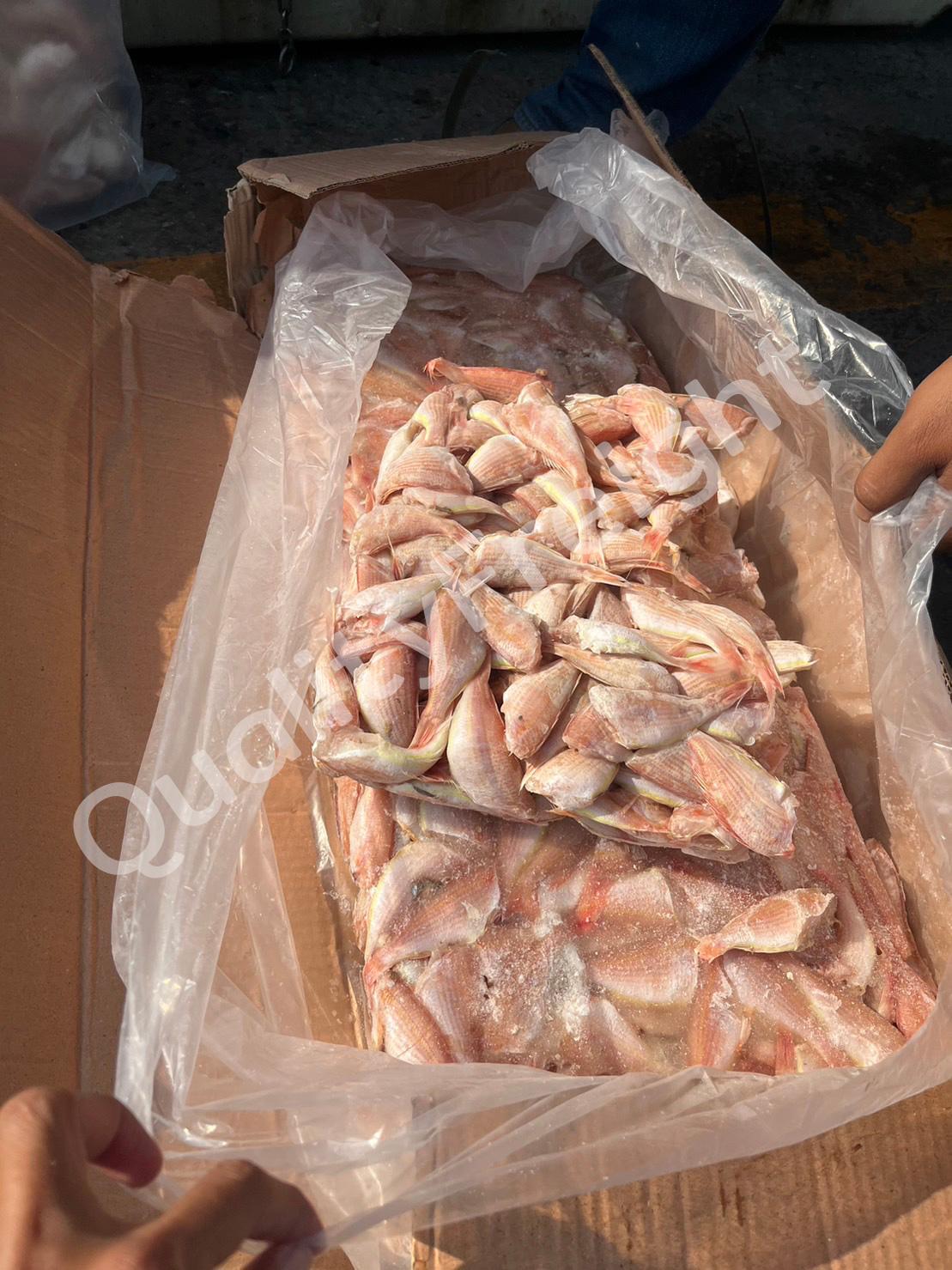 2 5 - Quality Access Global Logistics Co., Ltd.
