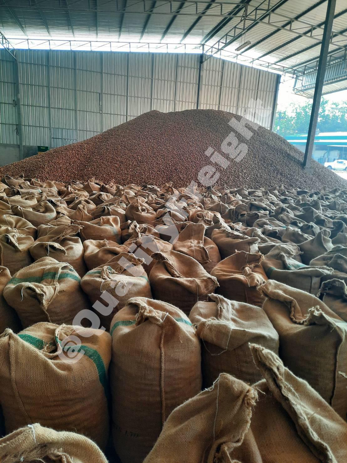 250115 - Quality Access Global Logistics Co., Ltd.