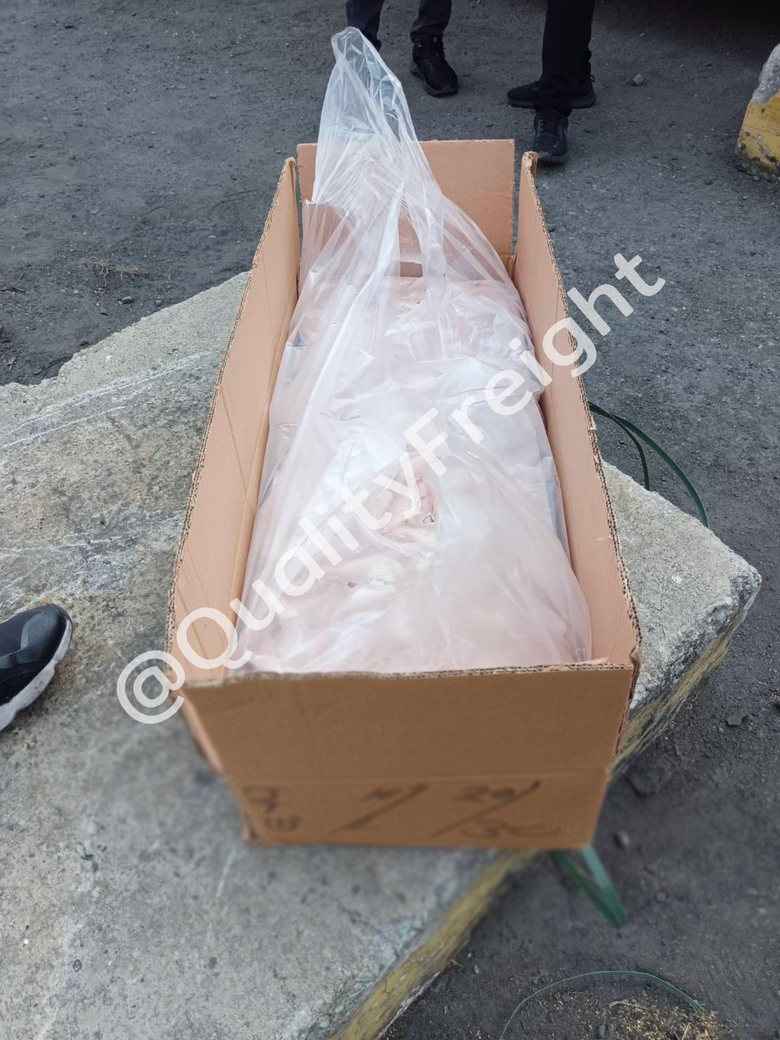 นำเข้าปลาทรายแดงจากปากีสถาน 4 - Quality Freight International 132200 - Quality Access Global Logistics Co., Ltd.